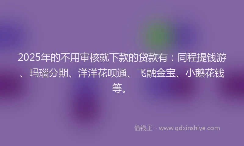 2025年的不用审核就下款的贷款有：同程提钱游、玛瑙分期、洋洋花呗通、飞融金宝、小鹅花钱等。