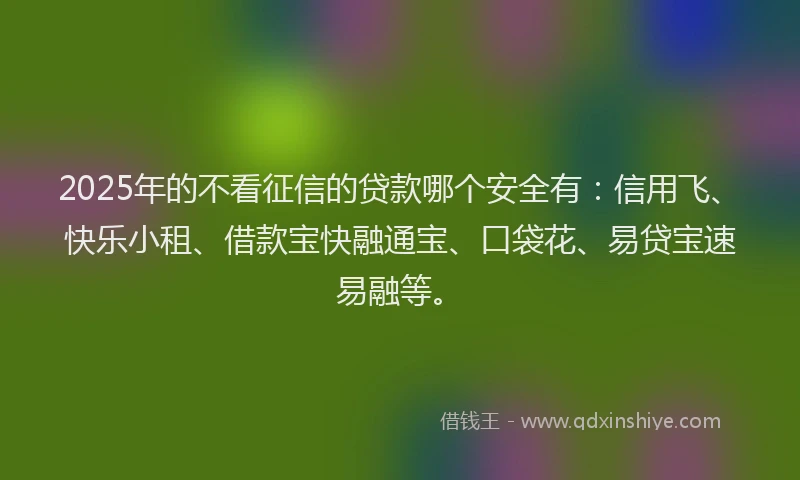 2025年的不看征信的贷款哪个安全有：信用飞、快乐小租、借款宝快融通宝、口袋花、易贷宝速易融等。