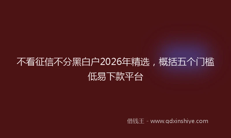 不看征信不分黑白户2026年精选，概括五个门槛低易下款平台
