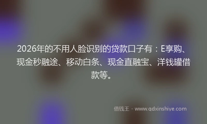 2026年的不用人脸识别的贷款口子有：E享购、现金秒融途、移动白条、现金直融宝、洋钱罐借款等。