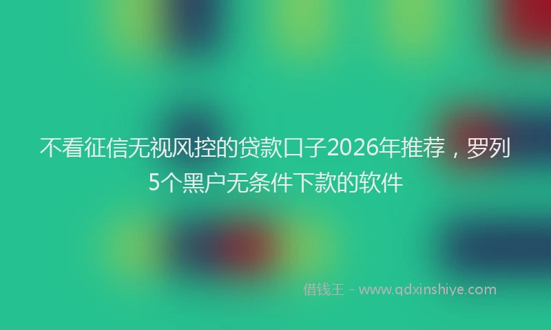 不看征信无视风控的贷款口子2026年推荐，罗列5个黑户无条件下款的软件
