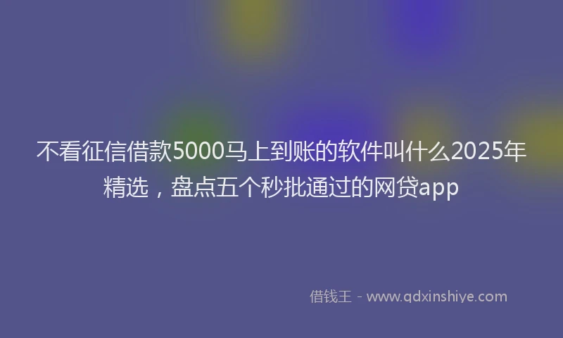 不看征信借款5000马上到账的软件叫什么2025年精选，盘点五个秒批通过的网贷app