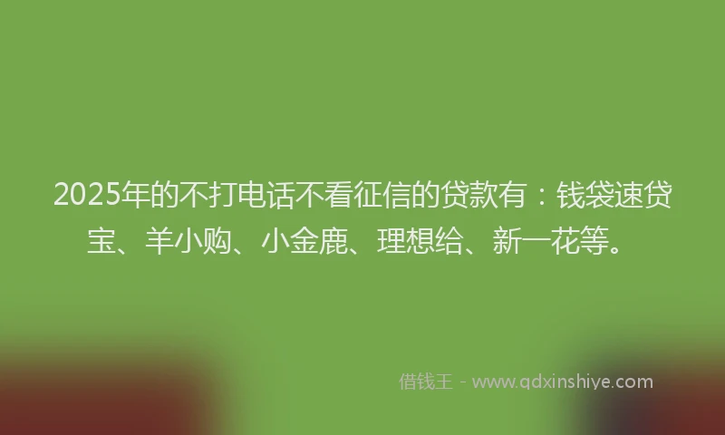 2025年的不打电话不看征信的贷款有：钱袋速贷宝、羊小购、小金鹿、理想给、新一花等。