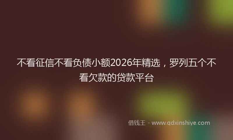 不看征信不看负债小额2026年精选，罗列五个不看欠款的贷款平台