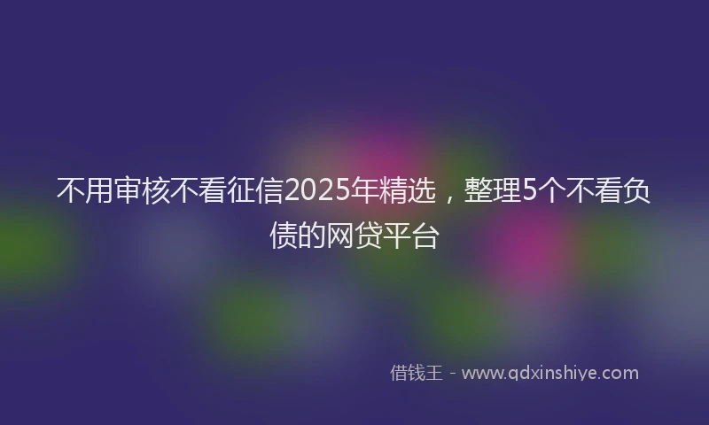 不用审核不看征信2025年精选，整理5个不看负债的网贷平台