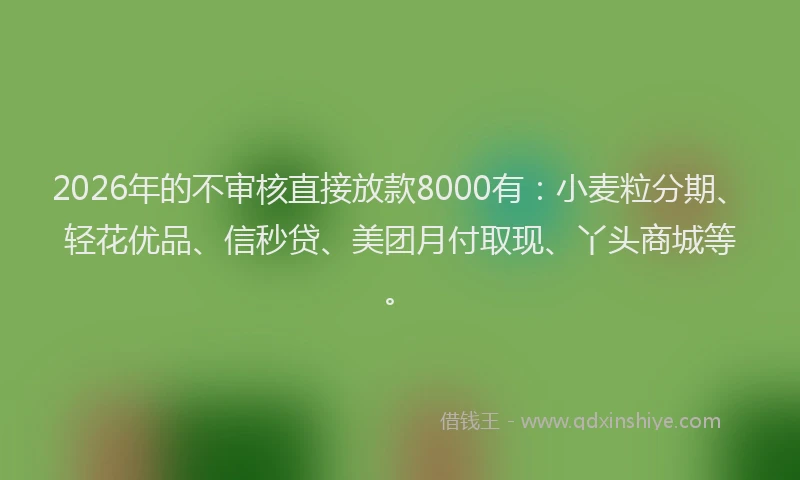 2026年的不审核直接放款8000有：小麦粒分期、轻花优品、信秒贷、美团月付取现、丫头商城等。