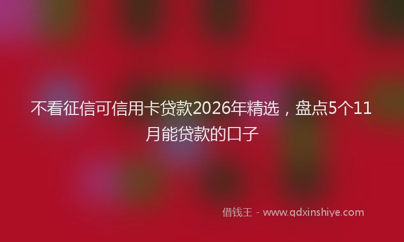 不看征信可信用卡贷款2026年精选，盘点5个11月能贷款的口子