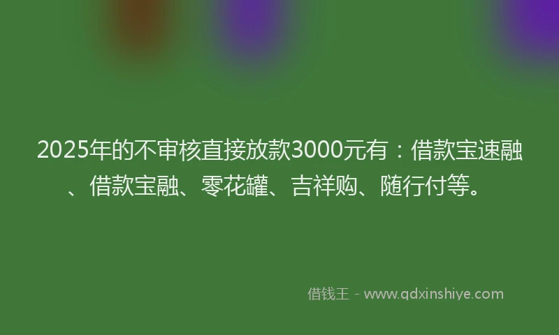 2025年的不审核直接放款3000元有：借款宝速融、借款宝融、零花罐、吉祥购、随行付等。