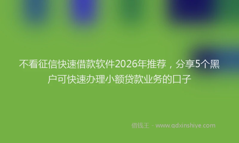 不看征信快速借款软件2026年推荐，分享5个黑户可快速办理小额贷款业务的口子