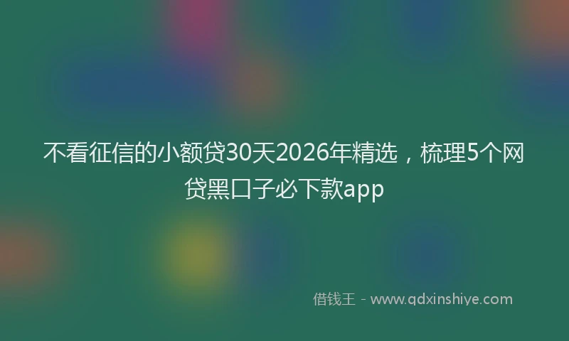 不看征信的小额贷30天2026年精选，梳理5个网贷黑口子必下款app