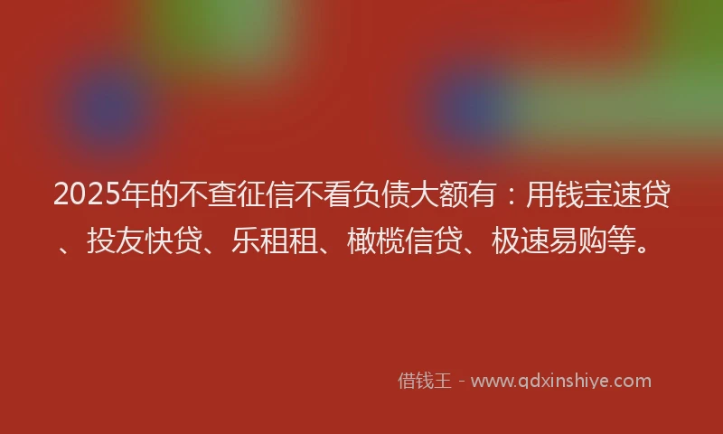 2025年的不查征信不看负债大额有：用钱宝速贷、投友快贷、乐租租、橄榄信贷、极速易购等。