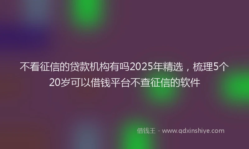 不看征信的贷款机构有吗2025年精选，梳理5个20岁可以借钱平台不查征信的软件