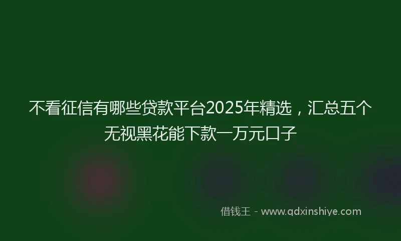 不看征信有哪些贷款平台2025年精选，汇总五个无视黑花能下款一万元口子