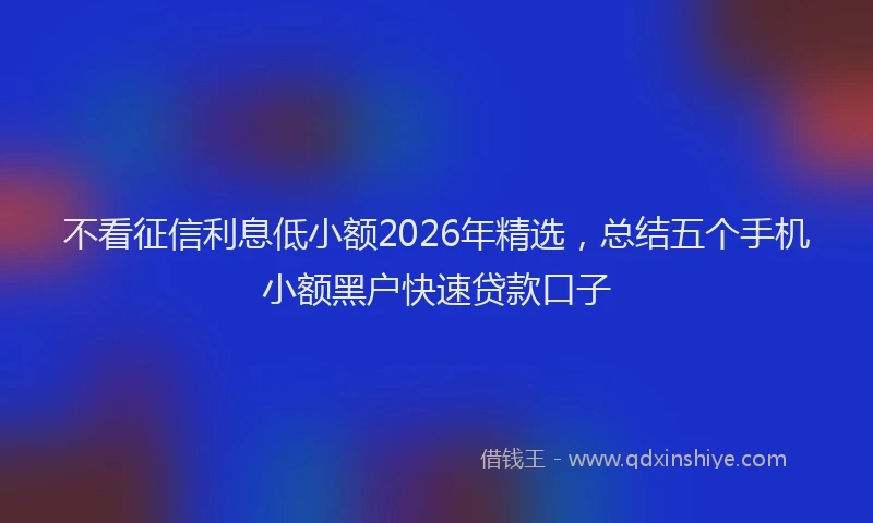 不看征信利息低小额2026年精选，总结五个手机小额黑户快速贷款口子