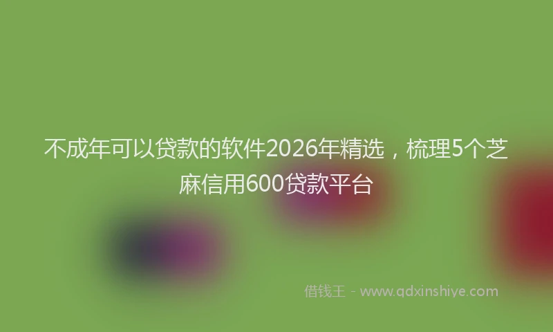 不成年可以贷款的软件2026年精选，梳理5个芝麻信用600贷款平台