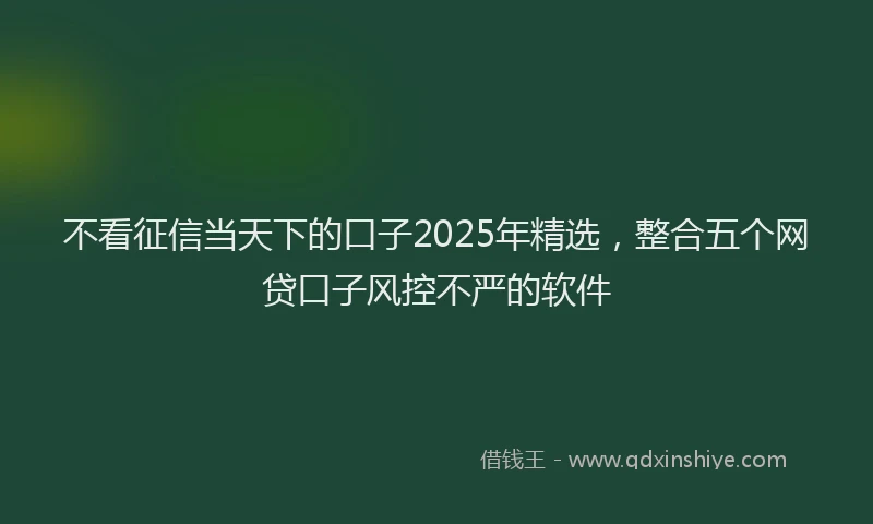不看征信当天下的口子2025年精选,整合五个网贷口子风控不严的软件