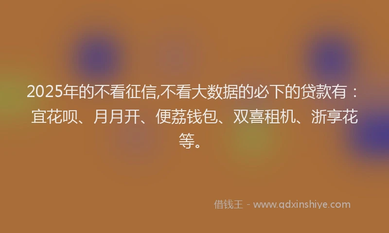 2025年的不看征信,不看大数据的必下的贷款有：宜花呗、月月开、便荔钱包、双喜租机、浙享花等。