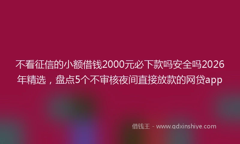 不看征信的小额借钱2000元必下款吗安全吗2026年精选，盘点5个不审核夜间直接放款的网贷app