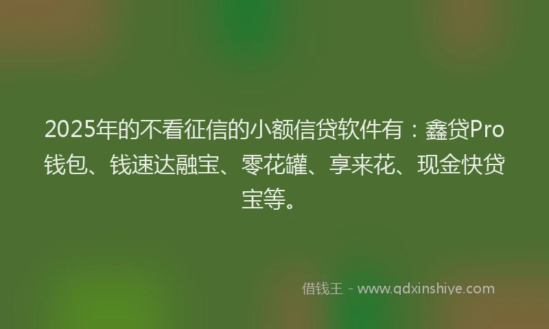 2025年的不看征信的小额信贷软件有：鑫贷Pro钱包、钱速达融宝、零花罐、享来花、现金快贷宝等。