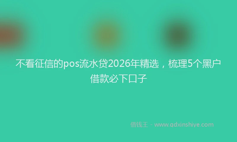 不看征信的pos流水贷2026年精选，梳理5个黑户借款必下口子