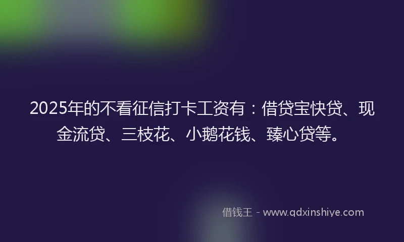 2025年的不看征信打卡工资有：借贷宝快贷、现金流贷、三枝花、小鹅花钱、臻心贷等。