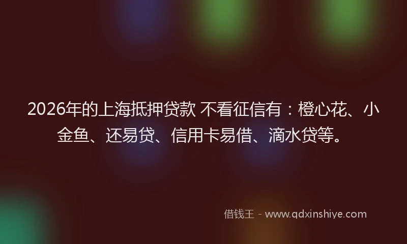 2026年的上海抵押贷款 不看征信有：橙心花、小金鱼、还易贷、信用卡易借、滴水贷等。