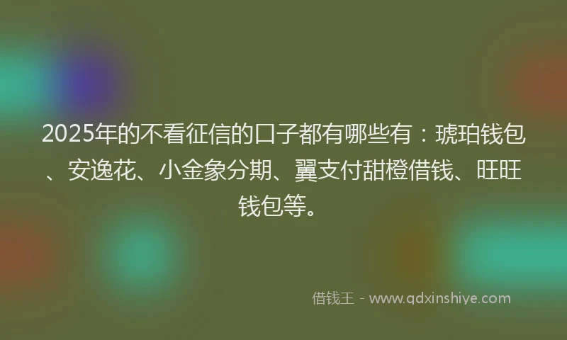 2025年的不看征信的口子都有哪些有：琥珀钱包、安逸花、小金象分期、翼支付甜橙借钱、旺旺钱包等。