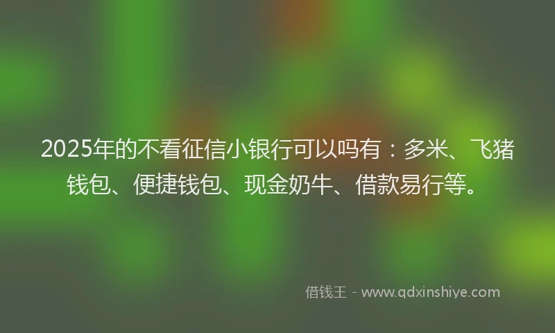 2025年的不看征信小银行可以吗有：多米、飞猪钱包、便捷钱包、现金奶牛、借款易行等。