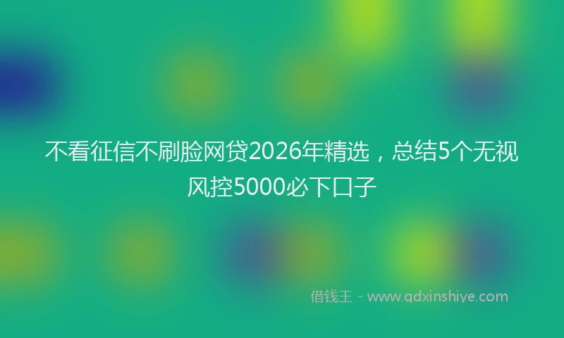 不看征信不刷脸网贷2026年精选，总结5个无视风控5000必下口子