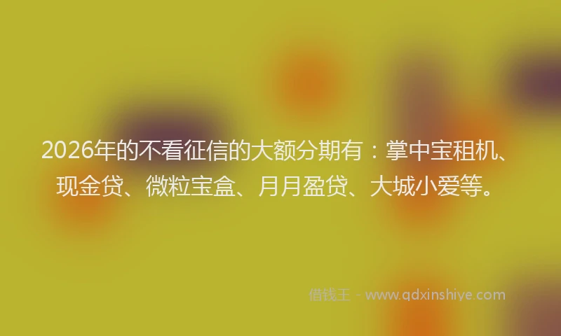 2026年的不看征信的大额分期有：掌中宝租机、现金贷、微粒宝盒、月月盈贷、大城小爱等。