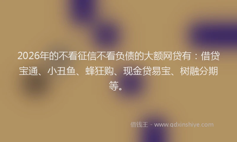 2026年的不看征信不看负债的大额网贷有：借贷宝通、小丑鱼、蜂狂购、现金贷易宝、树融分期等。