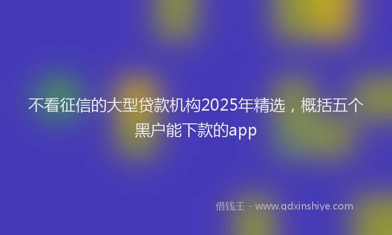 不看征信的大型贷款机构2025年精选，概括五个黑户能下款的app