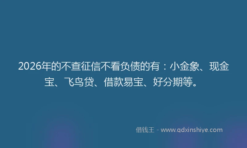 2026年的不查征信不看负债的有：小金象、现金宝、飞鸟贷、借款易宝、好分期等。
