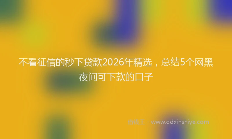 不看征信的秒下贷款2026年精选，总结5个网黑夜间可下款的口子
