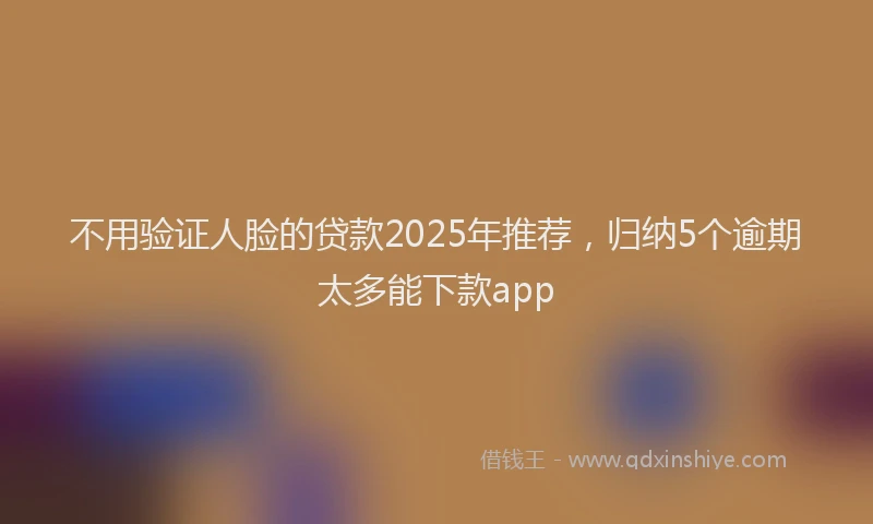 不用验证人脸的贷款2025年推荐，归纳5个逾期太多能下款app