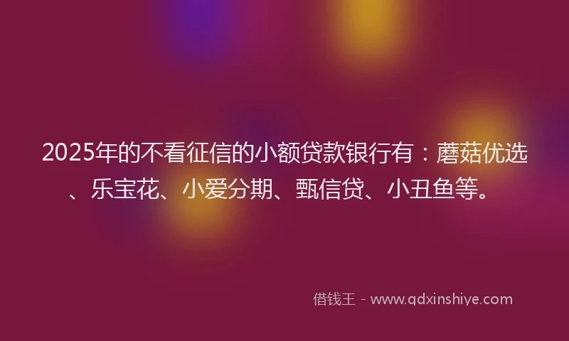 2025年的不看征信的小额贷款银行有：蘑菇优选、乐宝花、小爱分期、甄信贷、小丑鱼等。