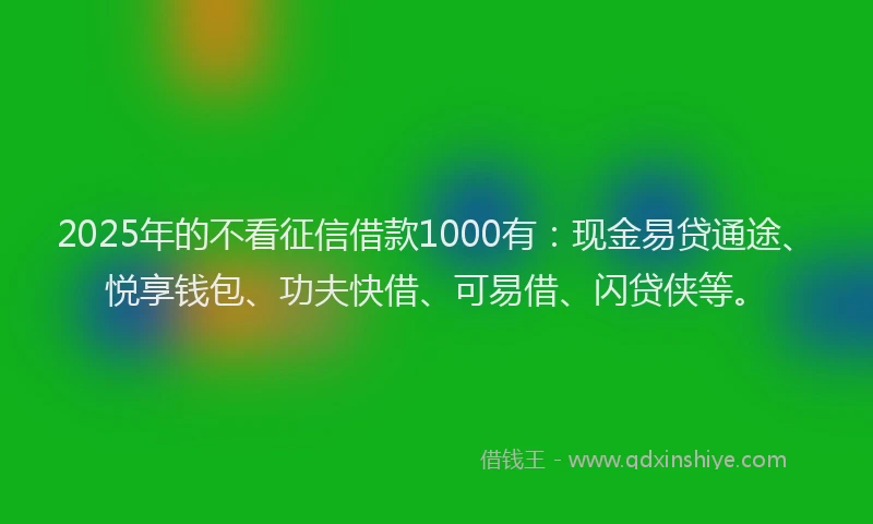 2025年的不看征信借款1000有：现金易贷通途、悦享钱包、功夫快借、可易借、闪贷侠等。