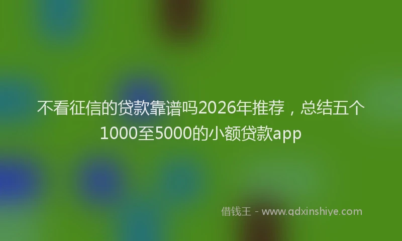 不看征信的贷款靠谱吗2026年推荐，总结五个1000至5000的小额贷款app