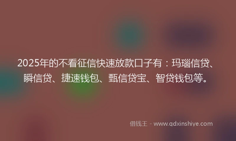 2025年的不看征信快速放款口子有：玛瑙信贷、瞬信贷、捷速钱包、甄信贷宝、智贷钱包等。