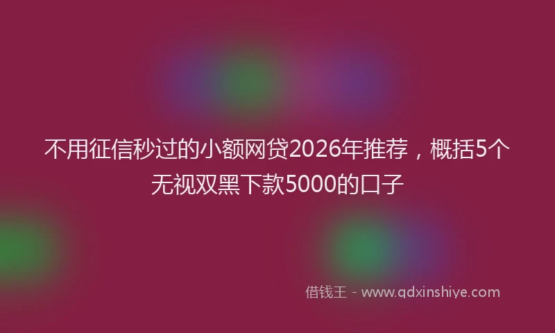 不用征信秒过的小额网贷2026年推荐，概括5个无视双黑下款5000的口子