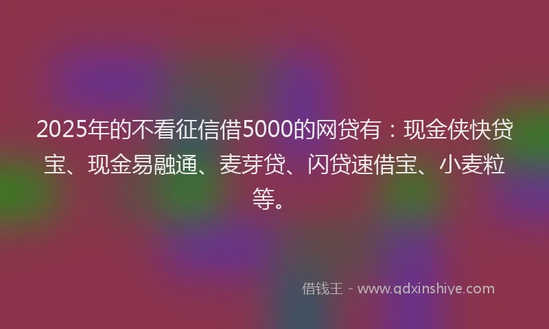 2025年的不看征信借5000的网贷有：现金侠快贷宝、现金易融通、麦芽贷、闪贷速借宝、小麦粒等。