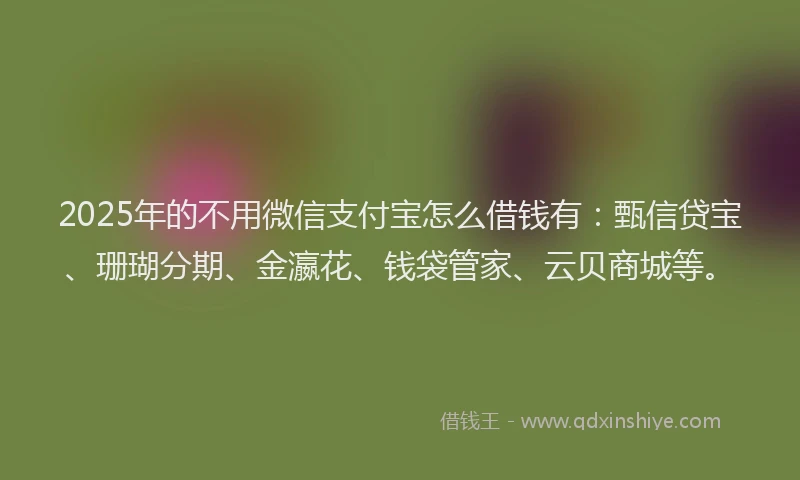 2025年的不用微信支付宝怎么借钱有：甄信贷宝、珊瑚分期、金瀛花、钱袋管家、云贝商城等。