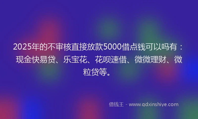2025年的不审核直接放款5000借点钱可以吗有：现金快易贷、乐宝花、花呗速借、微微理财、微粒贷等。