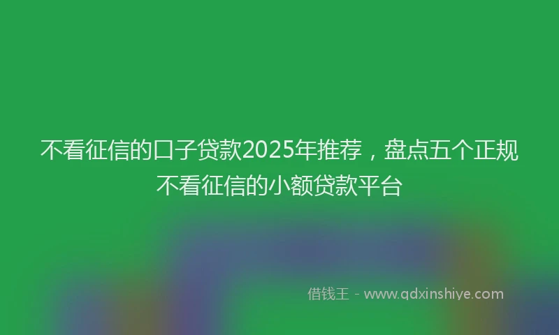 不看征信的口子贷款2025年推荐，盘点五个正规不看征信的小额贷款平台