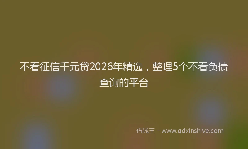 不看征信千元贷2026年精选，整理5个不看负债查询的平台