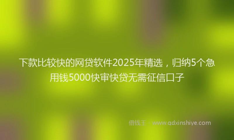 下款比较快的网贷软件2025年精选，归纳5个急用钱5000快审快贷无需征信口子