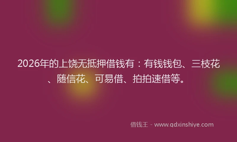 2026年的上饶无抵押借钱有:有钱钱包、三枝花、随信花、可易借、拍拍速借等。