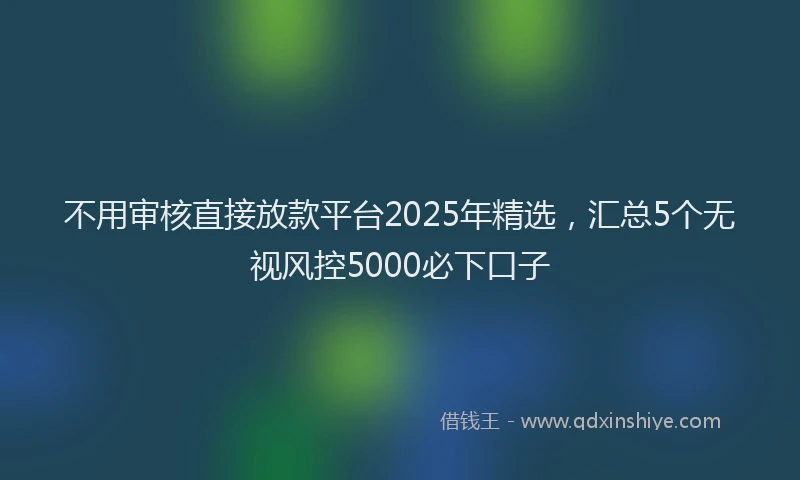 不用审核直接放款平台2025年精选，汇总5个无视风控5000必下口子