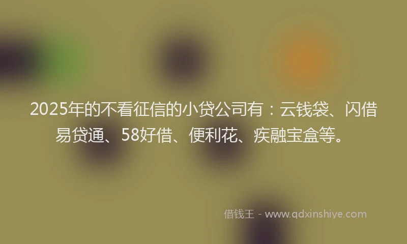 2025年的不看征信的小贷公司有：云钱袋、闪借易贷通、58好借、便利花、疾融宝盒等。