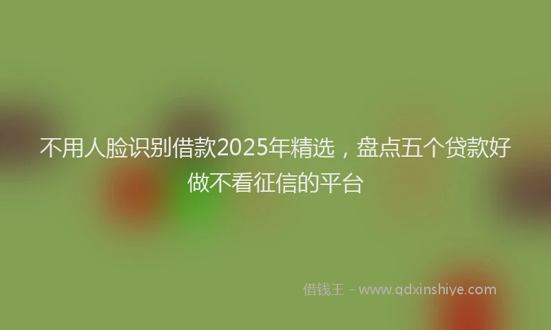 不用人脸识别借款2025年精选，盘点五个贷款好做不看征信的平台
